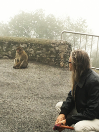 Chumming with monkeys